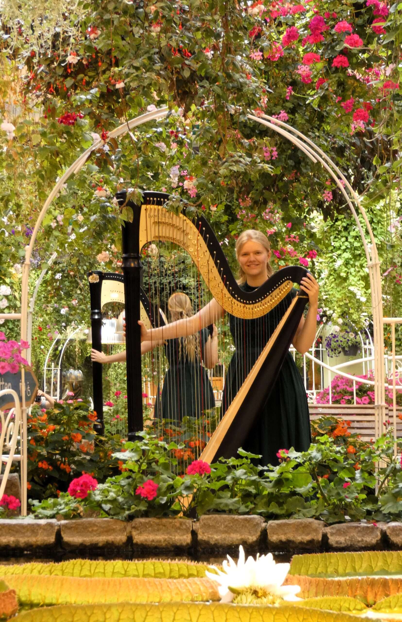 Shamati Harp