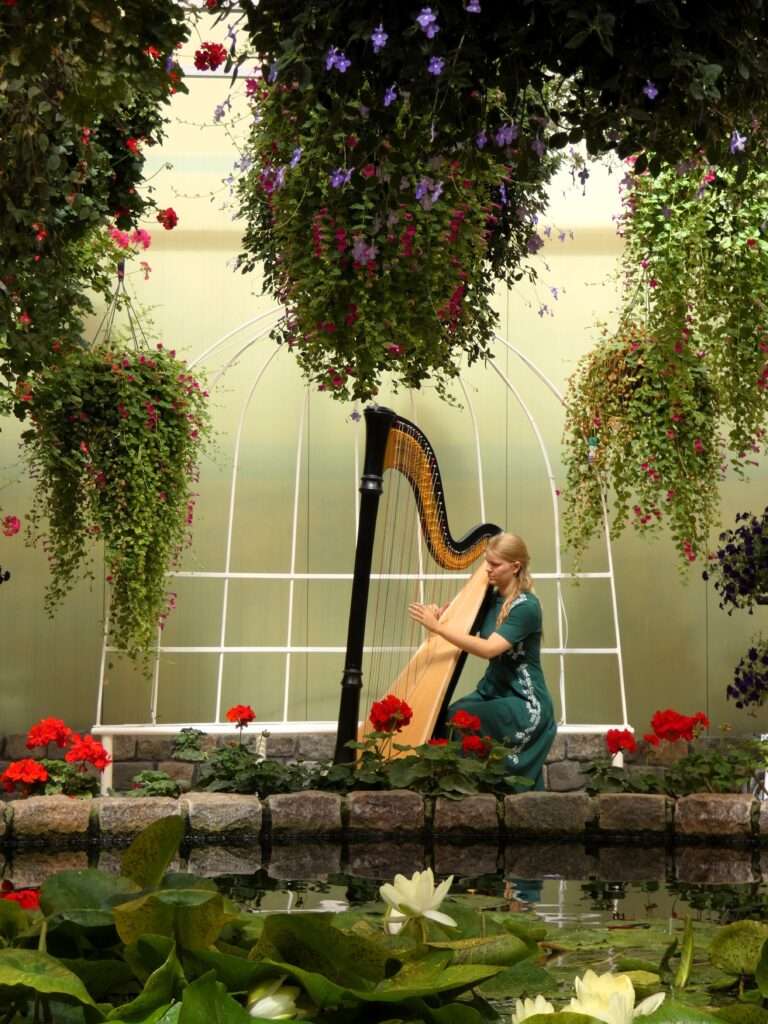 Harpist Shamáti Willemse