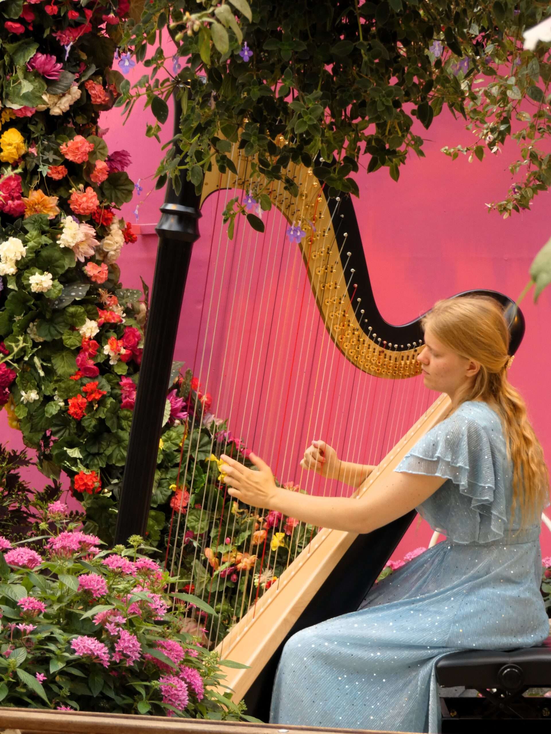 Shamati Harp