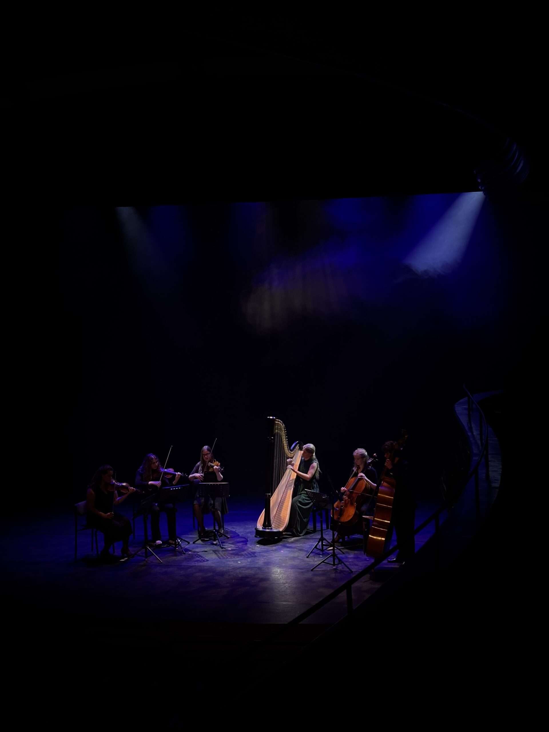 Harp ensemble